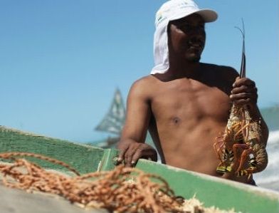 Seguro-desemprego do pescador artesanal será gerenciado pela Previdência Social