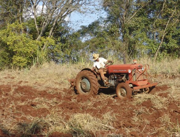 Trabalhador rural sofre com recessão e seca no Nordeste