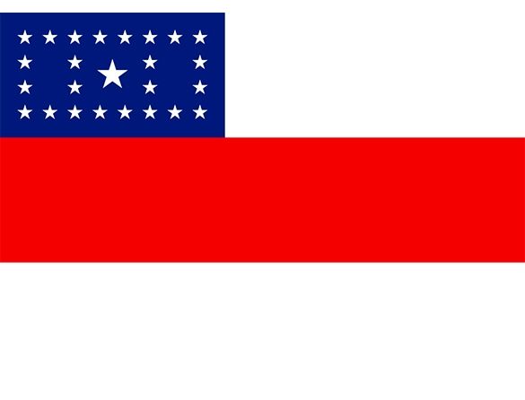 Bandeira do Amazonas