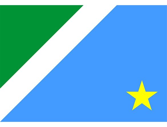 Bandeira do Mato Grosso Do Sul