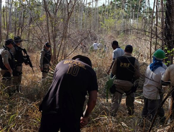 Combate ao trabalho escravo fica sob ameaça por falta de estrutura