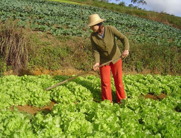 Pré-Conferência discute política agrícola e desenvolvimento rural de Duque de Caxias