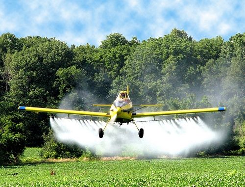 Em 11 anos, área de propriedades agropecuárias no Brasil cresce o equivalente ao estado do Acre, diz IBGE