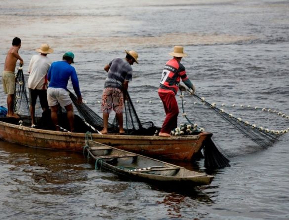 Pescadores preparam mobilização em Brasília contra decreto que acaba com seguro defeso