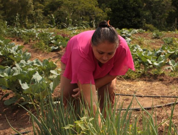 Governo estuda mudança na aposentadoria rural