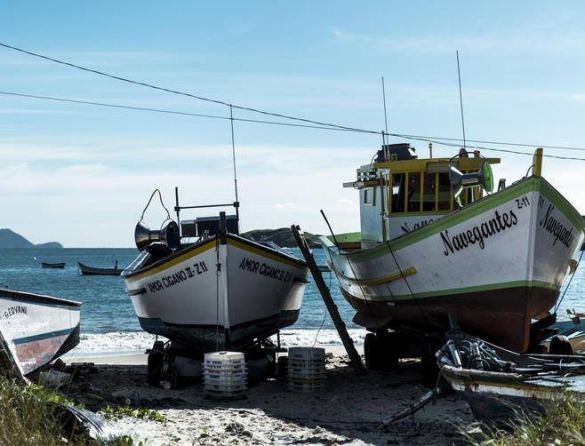 Cada dia é um dia a menos da pesca da tainha, diz pesquisador