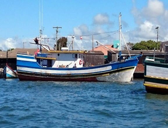 40 embarcações recebem licença para pesca da Tainha