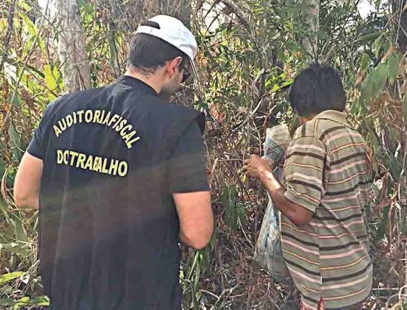 Nº de operações contra trabalho escravo cai 23,5% em 1 ano; total de resgatados é o menor desde 1998