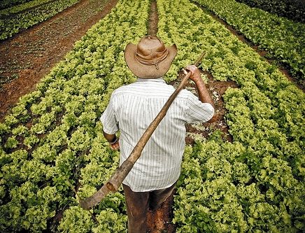 Na agricultura familiar, renda torna pagamento da Previdência ‘inviável’